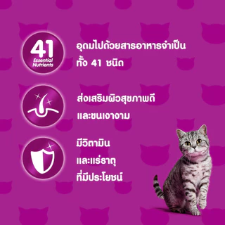 whiskas วิสกัส อาหารเปียกแมวรวมรส 1 กล่อง 12 ซอง ขนาด 80 กรัม