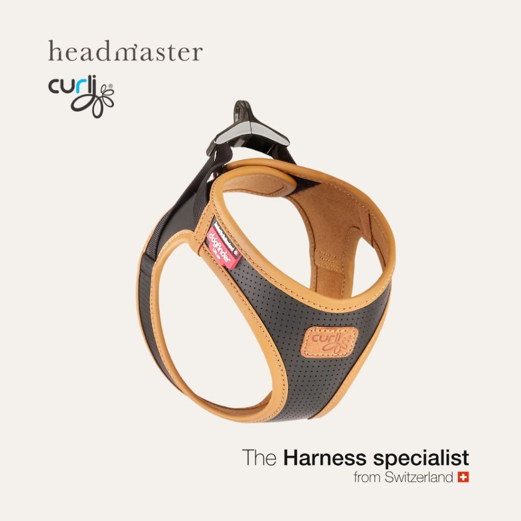 curli Apple Leather Harness Brown สายรัดอก หนังวีแกนสีดำ สายรัดอกสุนัข และแมว