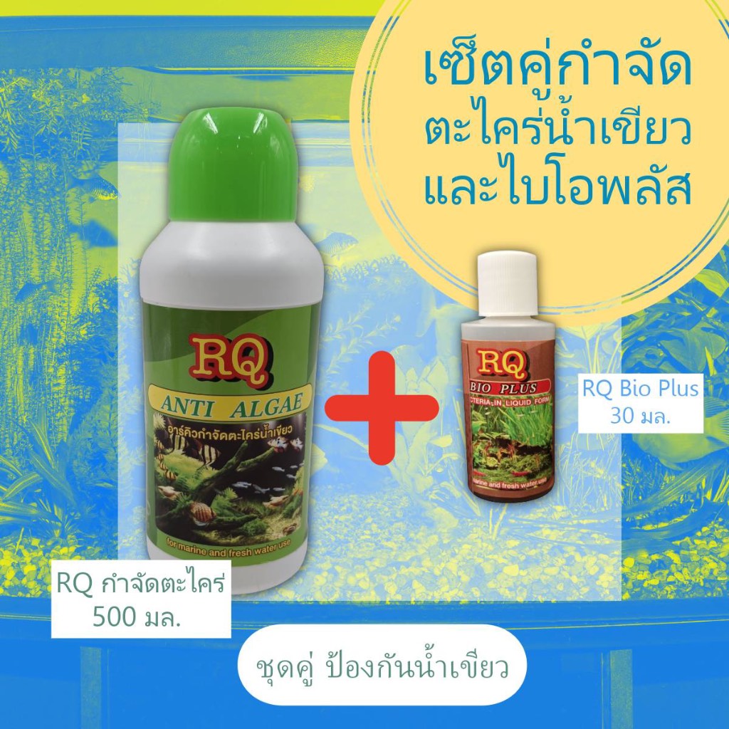 คู่ผลิตภัณฑ์กำจัดตะไคร่น้ำเขียว RQ Anti Algae 500 ml. และ RQ Bio Plus 30 ml.