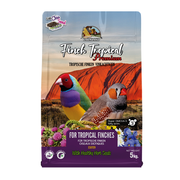 Farmland Tropical Finch
