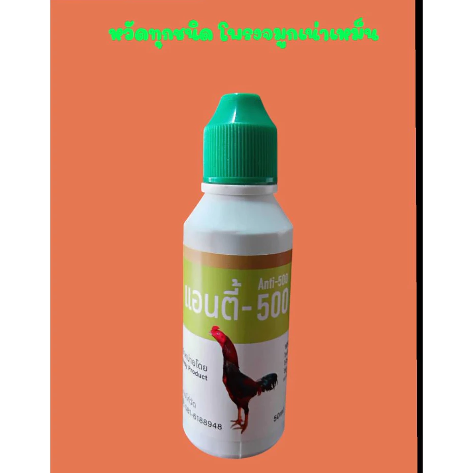 [ ขนาด 60 ml ] แอนดี้ 500 อาหารนก ช่วยสร้างความแข็งแรง พร้อมส่ง