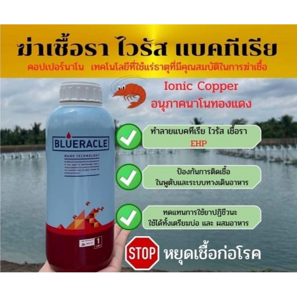 "บลูราเคิล" BLURACLE