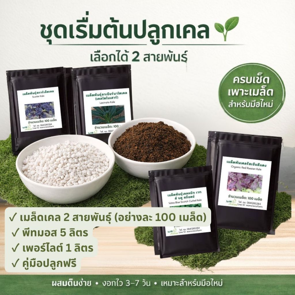 ชุดเริ่มต้นปลูกเคล เลือกได้ 2 สายพันธุ์ | พีทมอส 5L + เพอร์ไลต์ | ชุดเพาะเมล็ดครบเซ็ต สำหรับมือใหม่