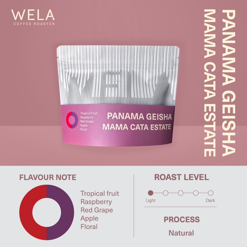 WELA Coffee Roaster - เมล็ดกาแฟคั่ว Panama Geisha Mama Cata Estate, Natural Process, Light Roast