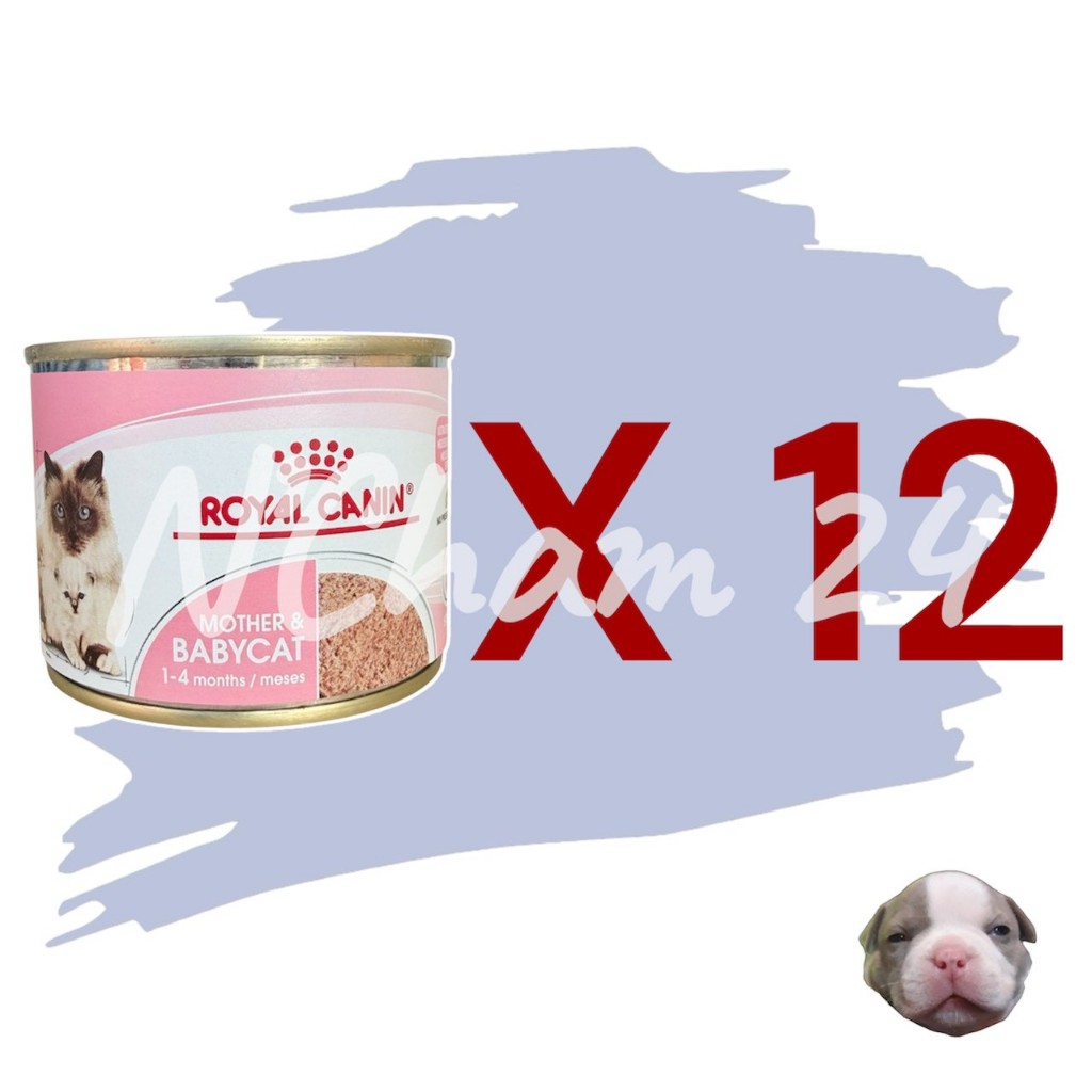 โปรดอ่านก่อนสั่ง ROYAL CANIN MOTHER&BABYCAT CAN 195g×12 กระป๋อง อาหารเปียกสำหรับแม่แมวและลูกแมว