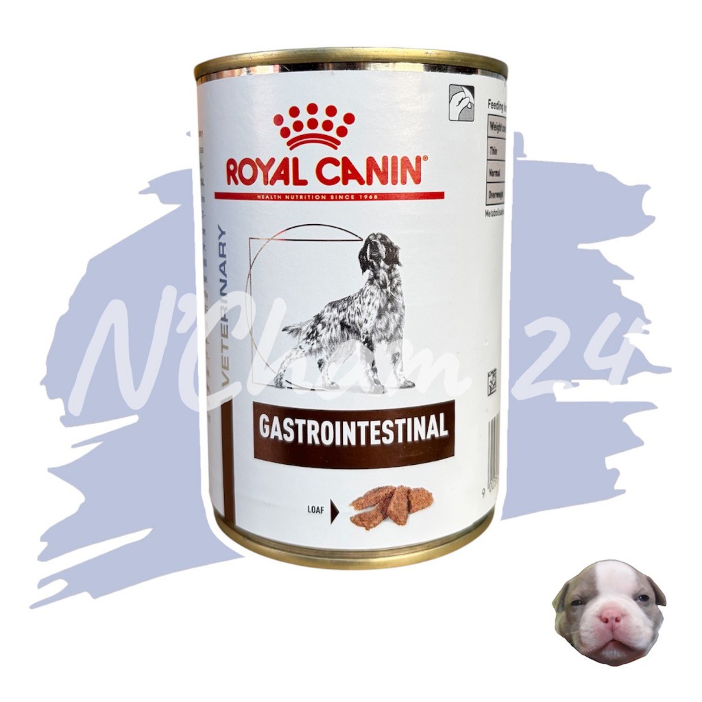 โปรดอ่านก่อนสั่ง Royal Canin Gastrointestinal 400g 1 กระป๋อง อาหารเปียกสุนัข การย่อยการดูดซึมอาหารผิดปกติ 400กรัม