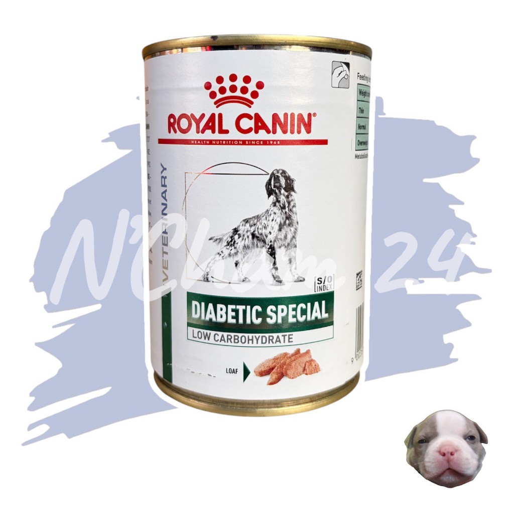 โปรดอ่านก่อนสั่ง Royal Canin Diabetic 410g 1 กระป๋อง สำหรับสุนัขโรคเบาหวาน