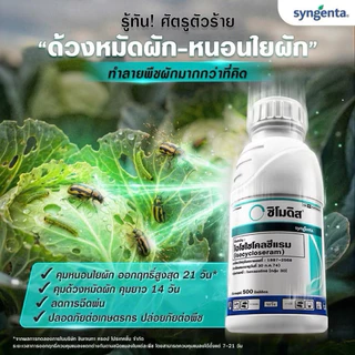 ซิโมดิส จากซินเจนทา ขวดเดียวสะเทือนโลก กำจัดหนอนใย เพลี้ยไฟ ด้วงหมัดผัก เพลี้ยอ่อน หนอนเจาะผล