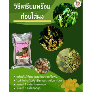 ปุ๋ยเร่งดอกลำไยให้ออกผล ใช้ราดทางดินและพ่นทางใบ เพื่อเร่งลำไยให้ออกลูก บรรจุ 1.0 กิโลกรัม