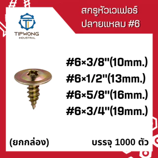 (ยกกล่อง 1,000 ตัว)สกรูหัวเวเฟอร์ *ปลายแหลม* #6 ชุบรุ้ง