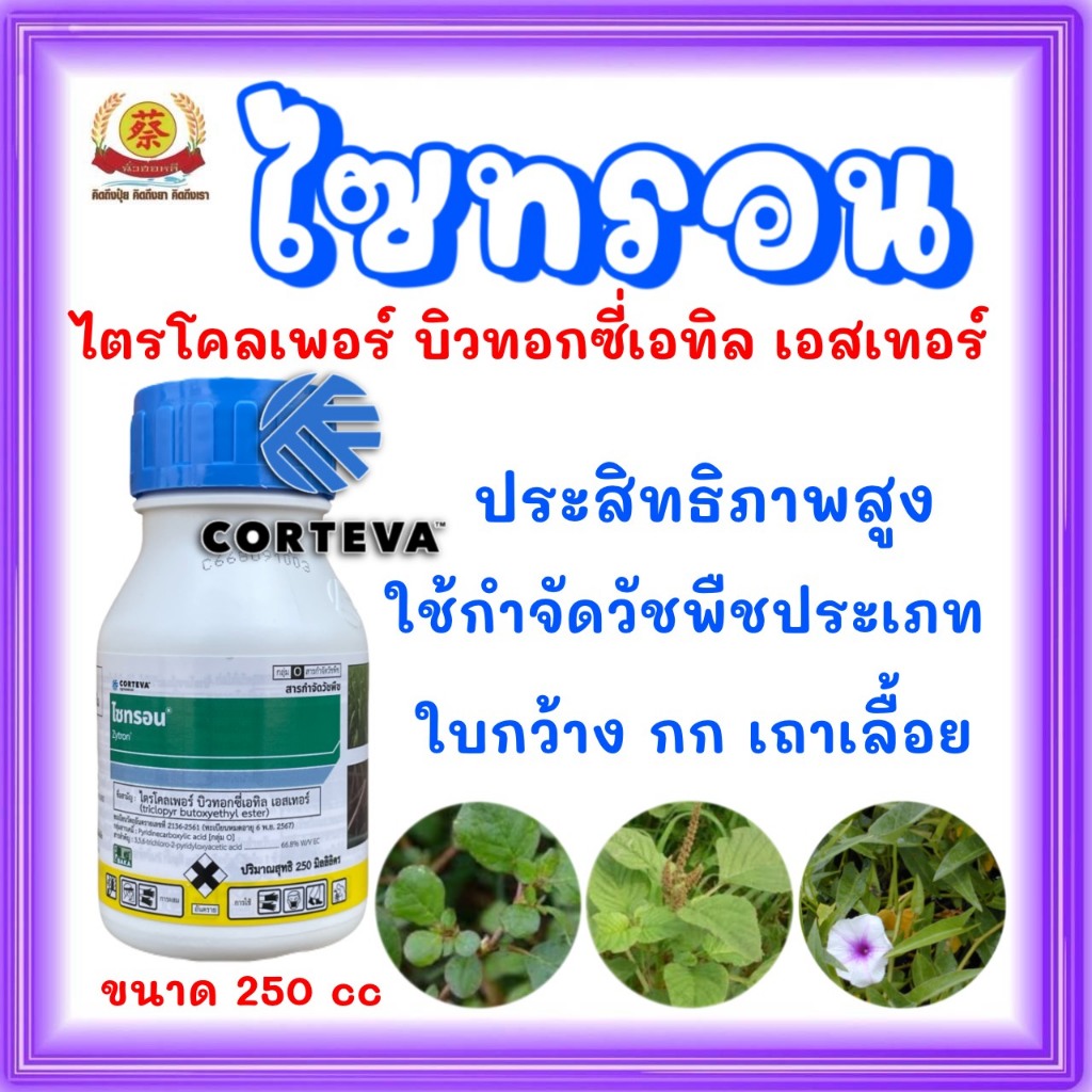 ไซทรอน250ซีซี(ไตโคเพอร์)กำจัดเครือเถาวน์หญ้ายางโสนทาตอไม้