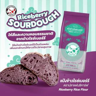 แป้งข้าวไรซ์เบอร์รี่ ตราปลาแฟนซีคาร์ฟ ขนาด 500 กรัม || Riceberry Rice Flour Fancy Carp || 黑莓果米粉 || طﺣﯾن اﻷرز راﯾ