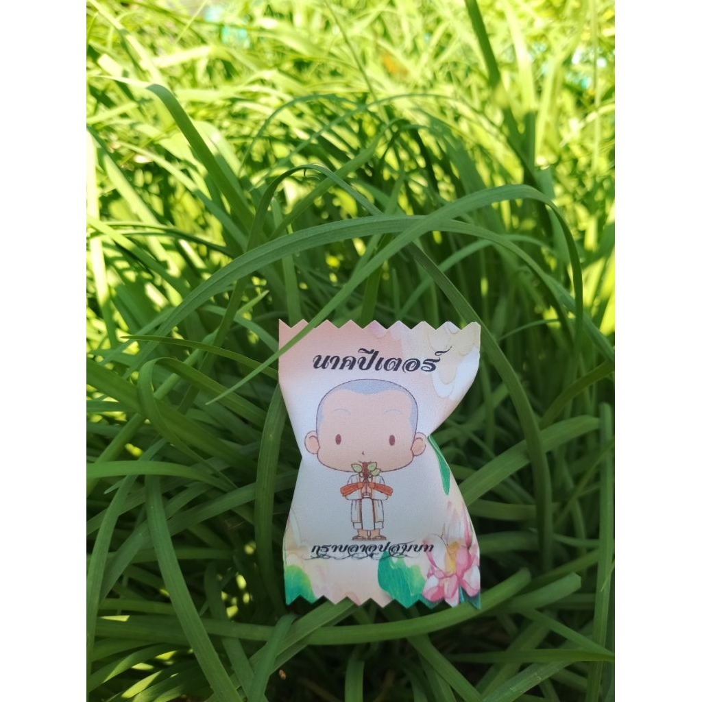 โปรยทานลูกอม ใส่ชื่อนาค(พร้อมเหรียญ)
