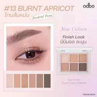 พาเลทอายแชโดว์ Odbo Signature Eyeshadow Palette OD276 ทาตา ชิมเมอร์ กลิตเตอร์ แมทท์