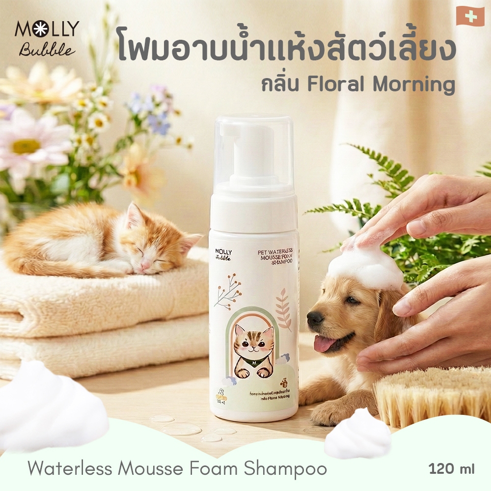 Molly Bubble แชมพูอาบน้ำแห้ง แมว สุนัข แบบมูสโฟม กลิ่น Floral Morning สูตรอ่อนโยน ไม่ต้องล้างน้ำออก