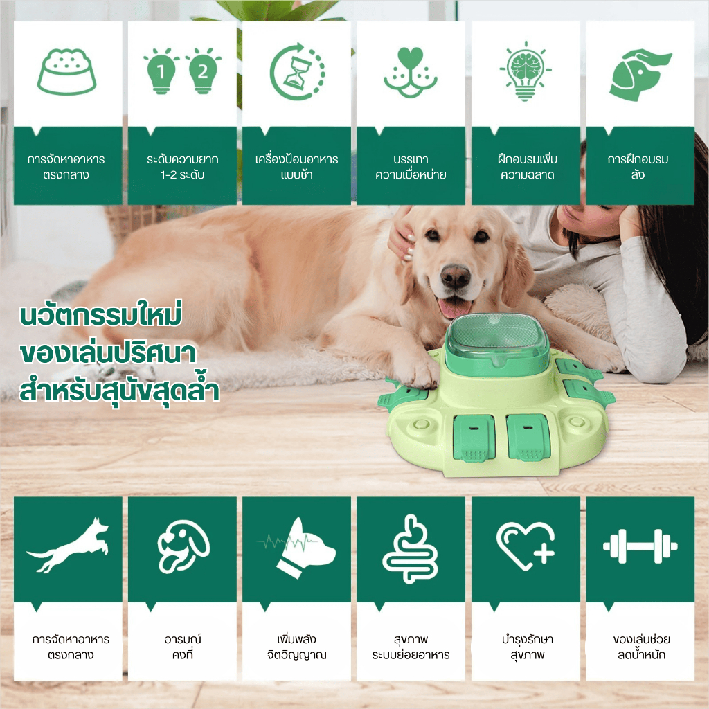 dog puzzle toy lv. 2 in 1