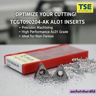 TCGT090204/110204/16T304-AK AL01งานอลู