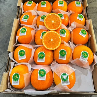 🍊ส้มไต้หวัน 1 กิโลกรัม ลูกสวย คัดพรีเมี่ยมรสชาติติดอับดับ อร่อยมากเนื้อหวานฉ่ำ ทานแล้วสดชื่นมาก