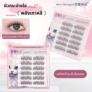 ขนตาปลอมมีกาวในตัว ไม่ต้องใช้กาวน้ำ ซีรีย์ baddie kitty ขนตาปลอมแบบช่อ เกาหลี