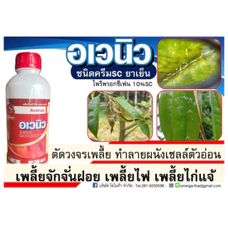 อเวนิว 1 ลิตรไพริพรอกซีเฟน10%SCสูตรใหม่ น้ำครีม ปลอดภัยต่อพืช สารกลุ่มใหม่ เพลี้ยแป้ง แมลงหวี่ขาว