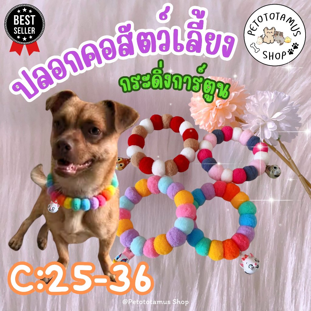 Petototamus | C25-36 : ปลอกคอแมว (รุ่นกระดิ่งการ์ตูน) ปลอกคอสุนัข ปลอกคอสัตว์เลี้ยง ปอกคอแมว