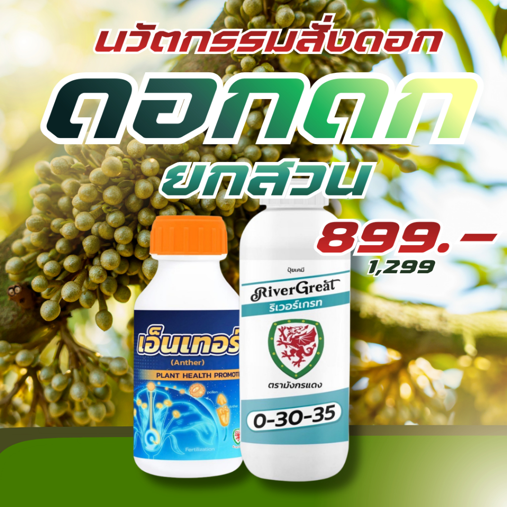 เปิดตาดอก ผสมเกสร ปรับสภาพพืช ยืดช่อดอก เอนเทอร์ ออลซีซั่น(1ชุดได้ทั้ง3อย่าง)เห็นผลไว ส่งจากประเทศไทย