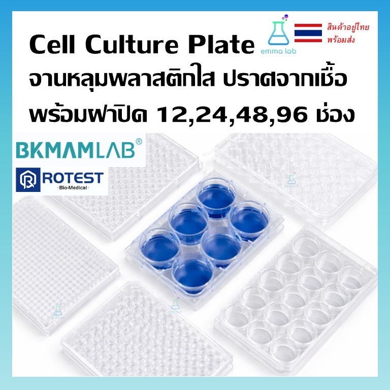 จานหลุมพลาสติกใส ปราศจากเชื้อ Cell Culture Plate 12,24,48,96 ช่อง