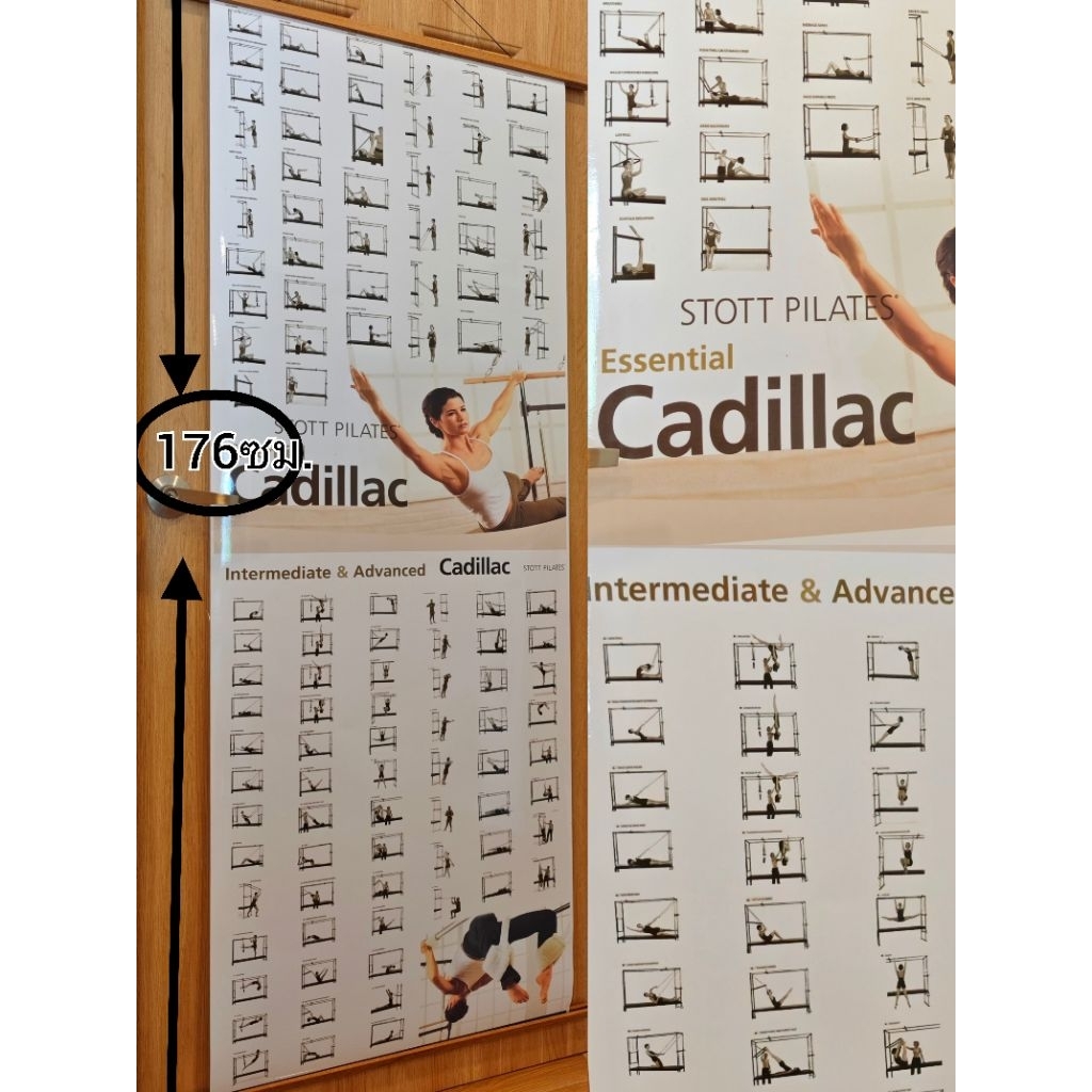 โปสเตอร์ Cadillac ไซส์ใหญ่ขนาดเท่าคนจริง176*65ซม  พร้อมชุดแขวน #พิลาทีส #Pilates #Yoga #Cadillac #โป