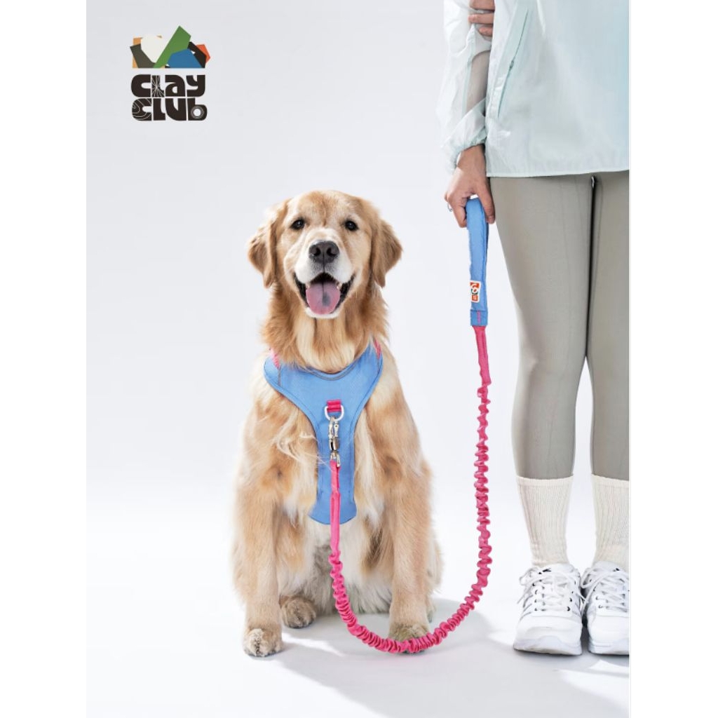 Puppy Gallery - Go Mentum Harness สายรัดอกสุนัข น้ำหนักเบา แข็งแรง ทนทาน สวมใส่สบาย