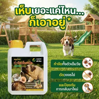[ขายดี] กำจัดเห็บหมัดสุนัข บุญรอดฟาร์ม สมุนไพรสูตรเข้มข้น ป้องกันการกลับมา