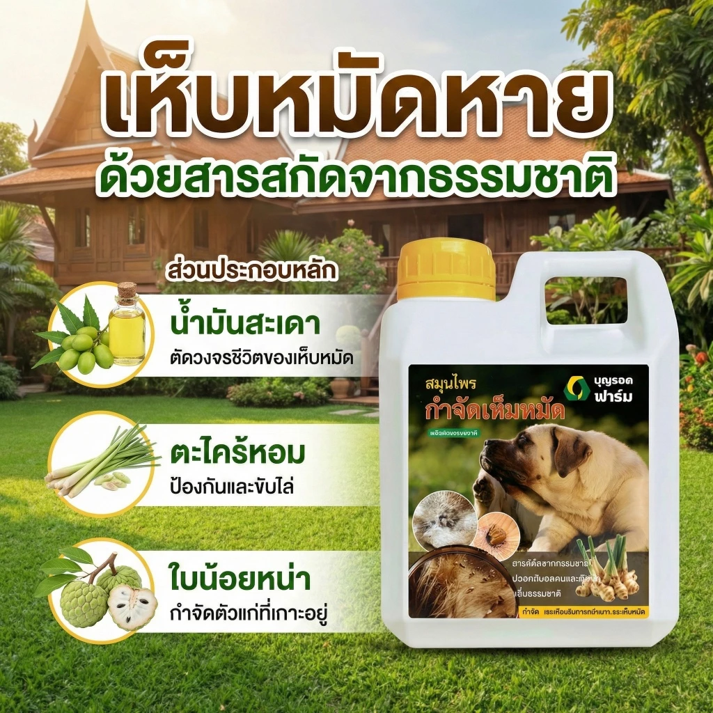 [ขายดี] กำจัดเห็บหมัดสุนัข บุญรอดฟาร์ม สมุนไพรสูตรเข้มข้น ป้องกันการกลับมา