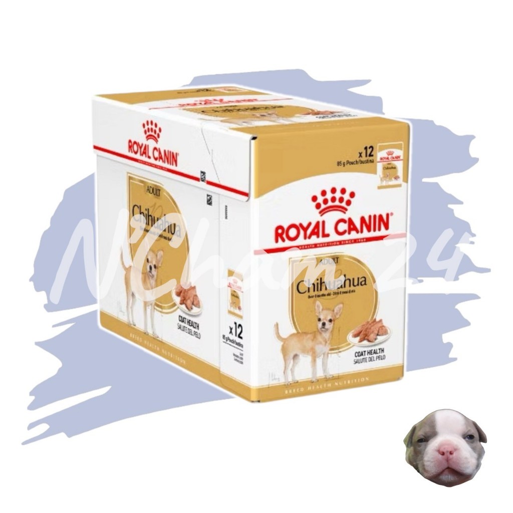 Royal Canin Chihuahua Loaf Dog Pouch 12 ซอง รอยัลคานิน อาหารเปียกสุนัขโต ชิวาวา
