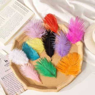 นนกกระจอกเทศธรรมชาติ ความยาว 10-15cm ขายแพ็ค 10 ชิ้น ขนนกกระ…