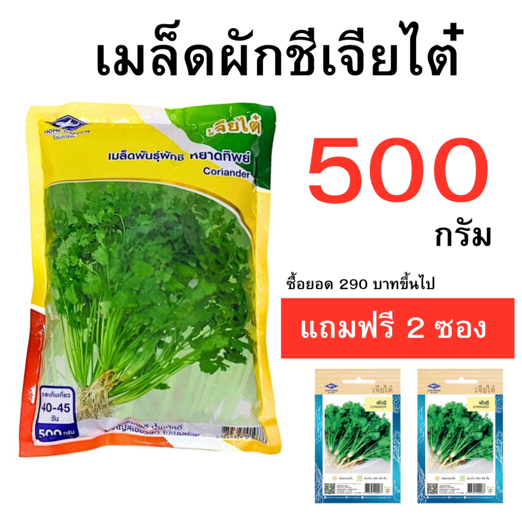 เมล็ดผักชี ถุงใหญ่ ซื้อยอด 290 บาทขึ้นไปแถมฟรี เมล็ดผักชีเจียไต๋ จำนวน 2 ซอง