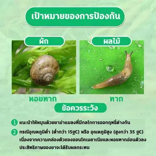 [ลด 50% วันนี้]กำจัดหอยทากได้ภายใน 1 วินาที ปลอดภัยต่อพืช กำจัดหอยทาก ทาก และหอยแอปเปิ้ล ผงละลายน้ำได้
