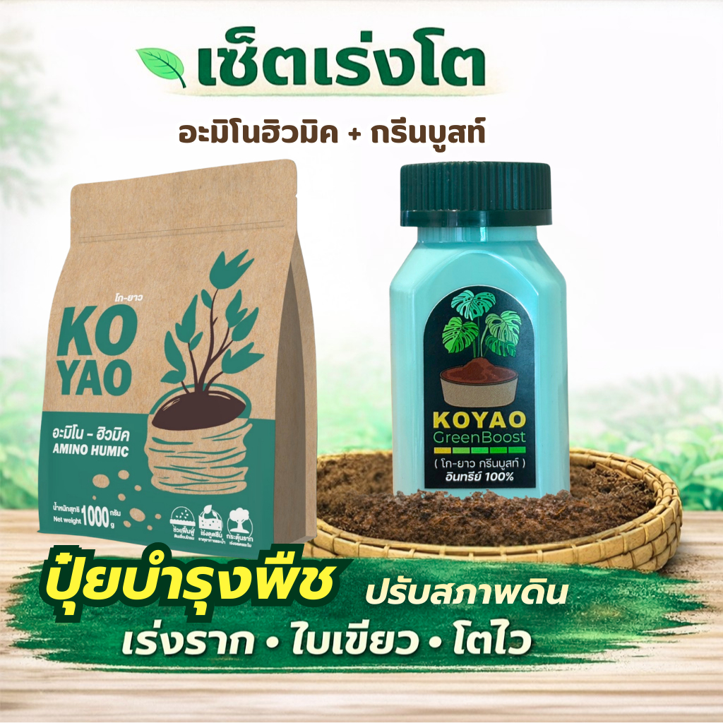 โกยาว อะมิโนฮิวมิค + GreenBoost ปุ๋ยอินทรีย์ ปุ๋ยบำรุงดินและเร่งใบเขียว โตไว รากแข็งแรง ดอกดก ผลแน่น