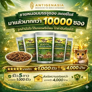 หนอนนก EXOTIC PROTEIN WORM สเตอริไลซ์ ฆ่าเชื้อ แบบต้ม เก็บได้1ปี ไม่ต้องแช่เย็น เหมาะสำหรับ ชูการ์ แม่นแคะ สัตว์ฟันแทะ
