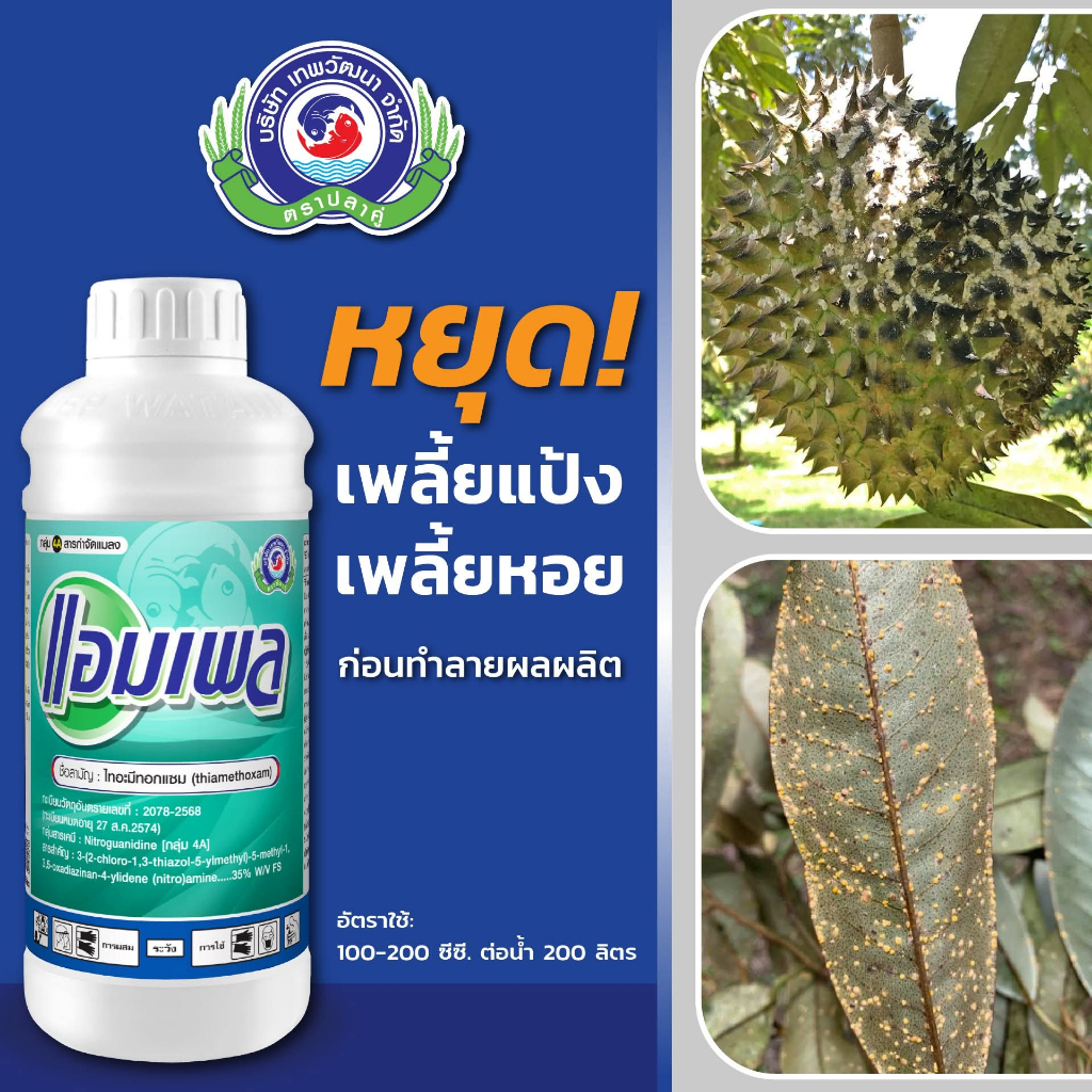 แอมเพล 1ลิตร ไทอะมีทอกแซม 35% FS สารป้องกันและกำจัดเพลี้ยไฟ เพลี้ยไก่แจ้ เพลี้ยหอย