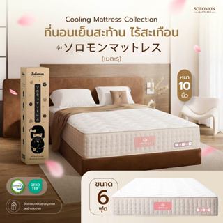SOLOMON ที่นอนเย็น เมตะรุ Maetaru ที่นอนพ็อกเก็ตสปริง 6ฟุต ค…