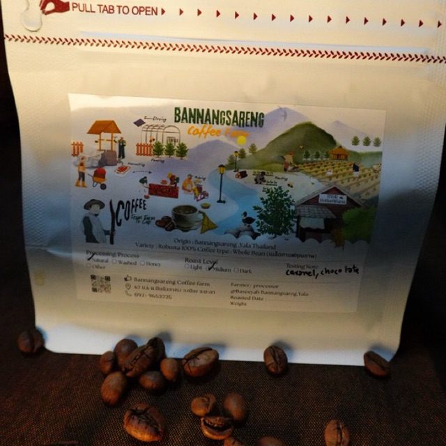 เมล็ดกาเเฟสด Robusta 100%  Origin : BannangSareng Yala Thailand