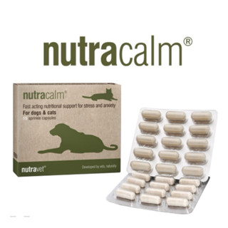 Nutra calm อาหารเสริมลดความเครียด กังวล ตื่นเต้นสำหรับสุนัขแ…