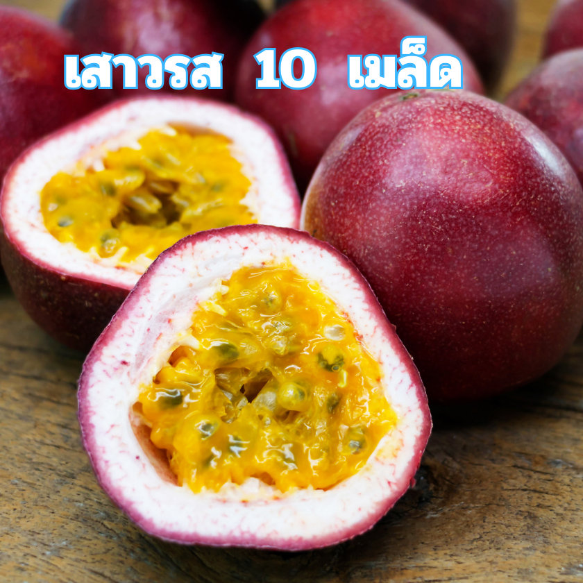 เมล็ดพันธุ์เสาวรส 10 เมล็ด