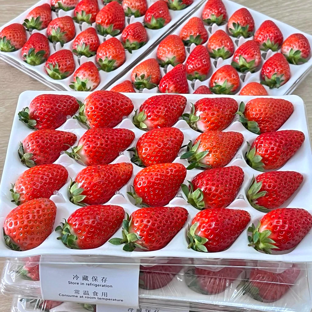 🍓สตอเบอรี่สด นำเข้าจัดส่งทันที✨ คัดก่อนส่ง ขนาด20ลูก (เปรี้ยวอมหวานพื้นที่ กทม.ได้รับภายใน 4 ชั่วโมง กดรับด่วนเท่านั้น)