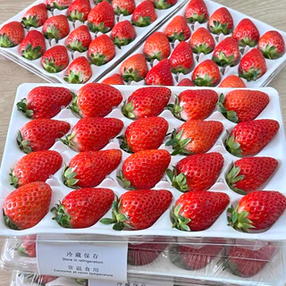 🍓สตอเบอรี่สด นำเข้าจัดส่งทันที✨ คัดก่อนส่ง ขนาด20ลูก (เปรี้ยวอมหวานพื้นที่ กทม.ได้รับภายใน 4 ชั่วโมง กดรับด่วนเท่านั้น)