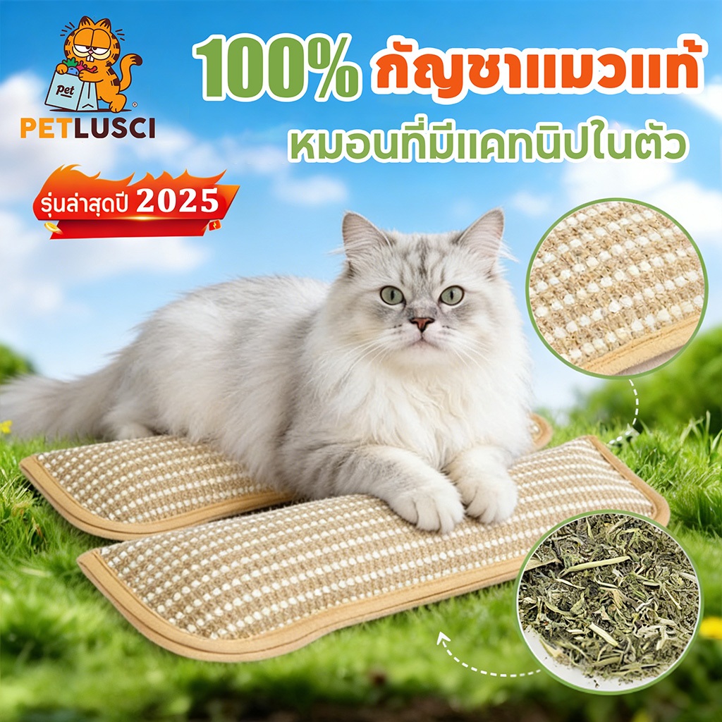 หมอนแมว กัญชาแมวแท้ 100% หมอนที่มีแคทนิปในตัว 34cm แข็งแรง ทนการข่วน ของเล่นแมว หมอนสัตว์เลี้ยง