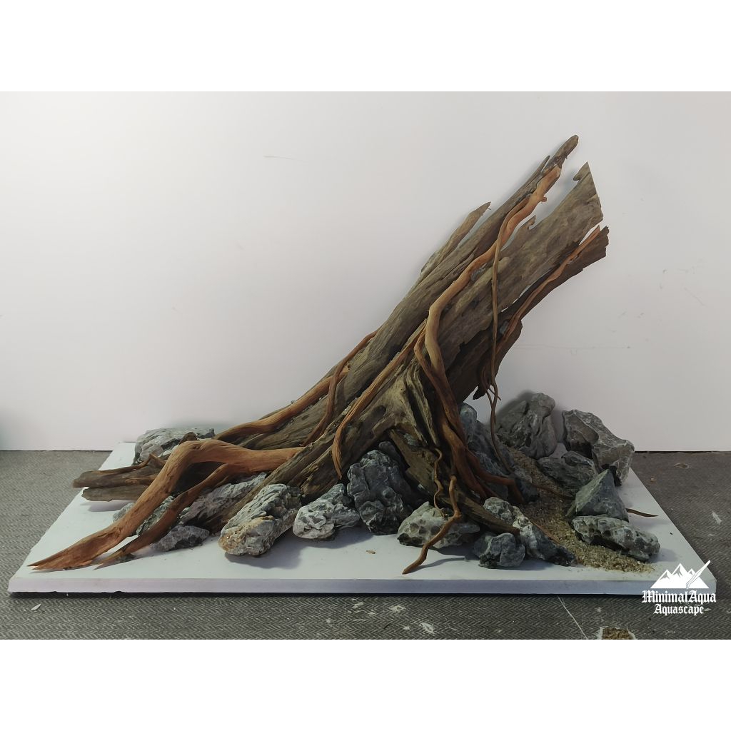 Layout,เลย์เอ้าท์ตกแต่งตู้ไม้น้ำ,ตู้ปลาขนาดไม่เกิน18"/45Cm.