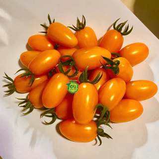 เมล็ดพันธุ์มะเขือเทศอมาริสา มะเขือเทศสีส้ม AMARISSA F1 นำเข้าของแท้