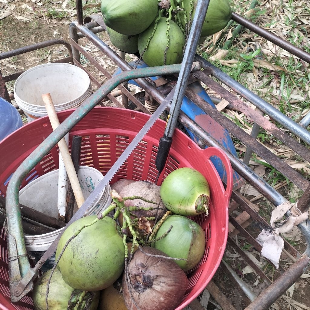 delta craft สินค้าเกษตร