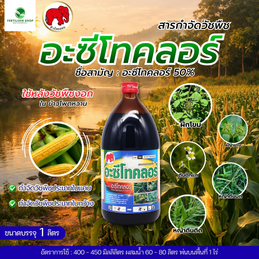 อะซีโทรคลอร์ ใช้กำจัดวัชพืช (ขนาด 1 ลิตร) ไทออน