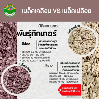 เมล็ดพันธุ์ผักสลัด มินิคอสแดง พันธุ์ทิกเกอร์ ( ขนาด 0.5 กรัม ) ( เมล็ดเคลือบ ) รหัสสินค้า SSC 1024